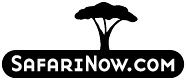 Safarinow.com