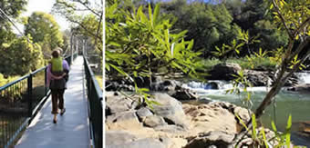 Lowveld Botanical Garden